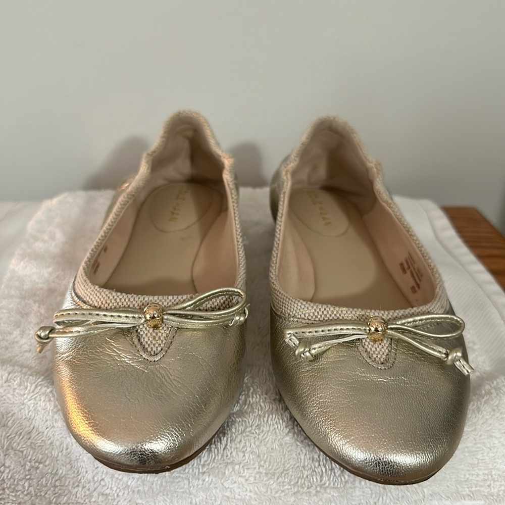 Cole Haan Ballet Shoes. Worn once.